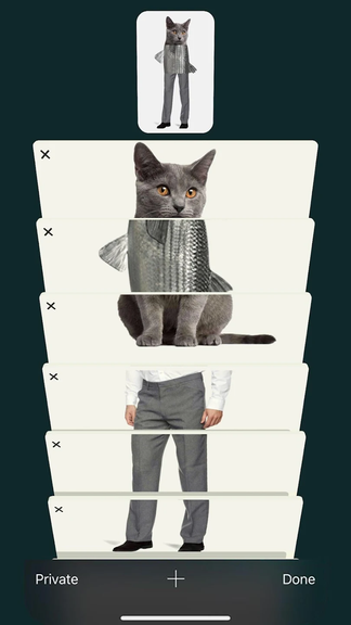 Tab Puzzle